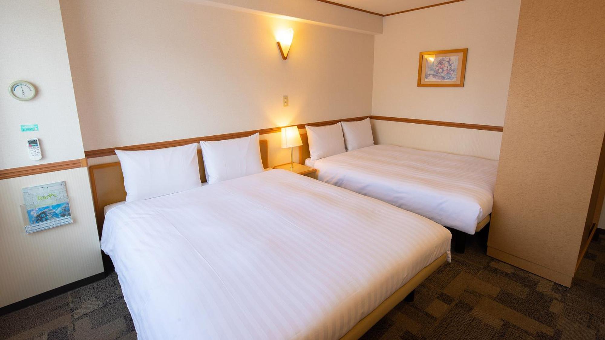 Toyoko Inn Kagoshima Chuo Eki Nishi Guchi חדר תמונה